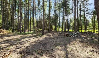 1365 MT Highway 209, Bigfork, MT 59911