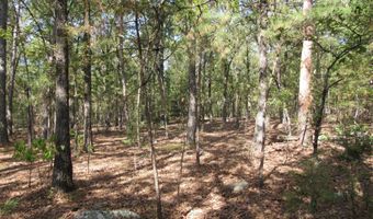 Tract 52 E 1885 Road, Antlers, OK 74523