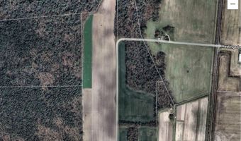 DELMAR, Delmar, DE 19940