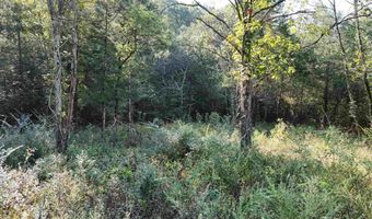 Long Branch Lane, Bee Branch, AR 72013
