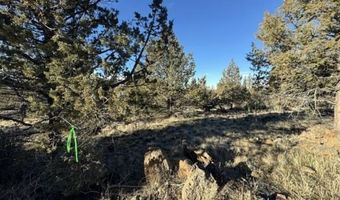 Canvasback Drive, Bonanza, OR 97623