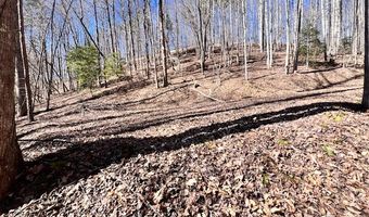 Lot 34-1 Lake Ridge Dr 34-1, Bryson City, NC 28713