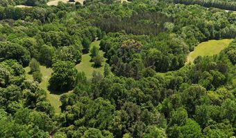 N Osborntown Rd, Arlington, TN 38002