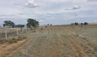 16903 N County Rd 2000, Abernathy, TX 79311