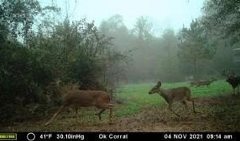000 Hwy 105, Atkins, AR 72823