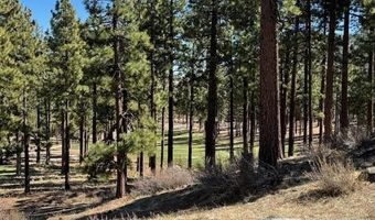 194 Cartwright Ct Lot 244, Carson City, NV 89705