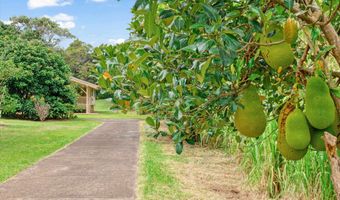 1784 W Kuiaha Rd, Haiku, HI 96708