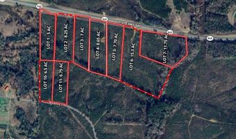 Delancey Rd, Braxton, MS 39044