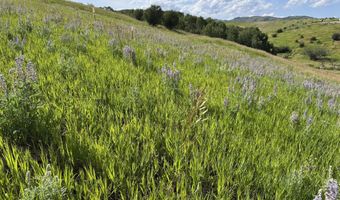 2035 STUMP CREEK Rd, Auburn, WY 83111