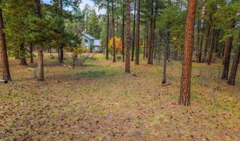 7 2190, Alpine, AZ 85920