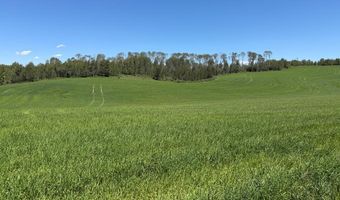 4935 E 900 N, Ashton, ID 83420