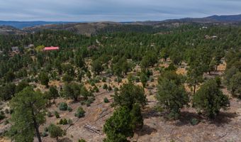 PN TBD BACHE ST & MESITA DR, Alto, NM 88312