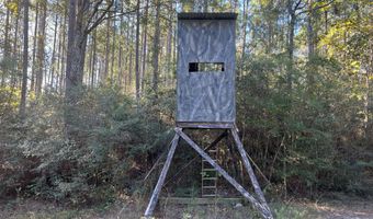 259 Forest Lake Rd, Beaumont, MS 39423