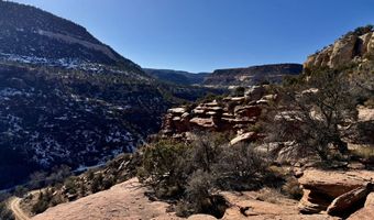 TBD X4 Road, Bedrock, CO 81411