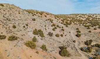 Hamilton Creek Trail, Elko, NV 89801