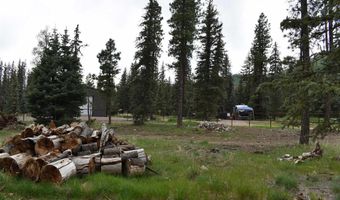264 Ponderosa Homes Rd, Bayfield, CO 81137