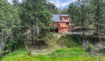 33 Grouse Ln, Bailey, CO 80421