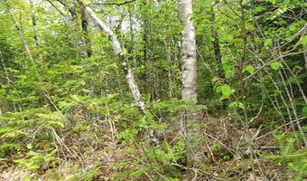 Pleasent Pond Road lot 7, Atkinson, ME 04426
