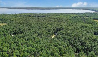 3871 Resort Rd, Alanson, MI 49706