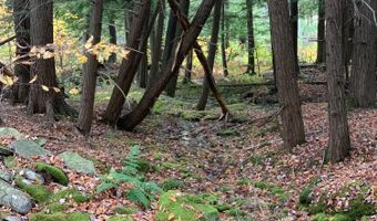 L21.1 Alder Pond Road, Andes, NY 13740