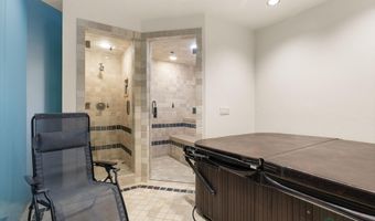 1682 Red Mountain Rd, Aspen, CO 81611