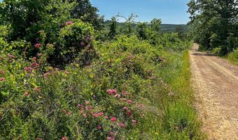001 N 4220 Rd, Antlers, OK 74536