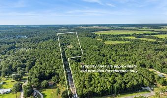 712 Blackberry Rd, Baconton, GA 31716