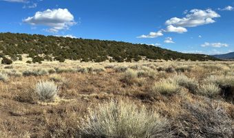 558 Sand Flat Rd 5, Aragon, NM 87820