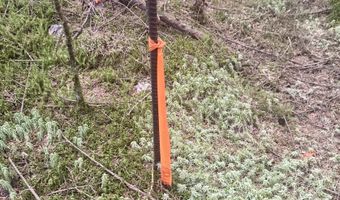 Thorn Hill Road lot 406/22, Bethlehem, NH 03574