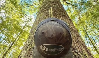 Eugene Ward Road, Adrian, GA 31002