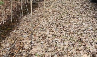 N Forest Lake Drive, Alger, MI 48610