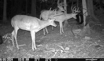 732 Highway 558, Albany, KY 42602