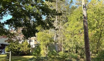 408 Felch St, Ann Arbor, MI 48103