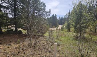 59 Price Loop, Cascade, ID 83611