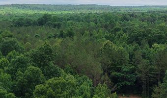 000 Fowler Rd, Beech Bluff, TN 38313