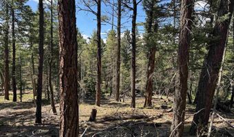 El Vado Way lot 1662, Angel Fire, NM 87710