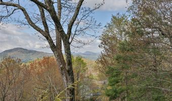 1620 Buckberry Dr N, Sapphire, NC 28774