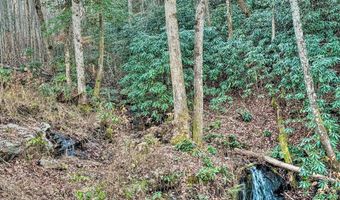 168 Laramie Hts, Andrews, NC 28901