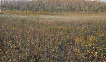 75 Sheep Horn Ct, Bellvue, CO 80512