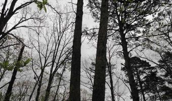 Long Branch Lane, Bee Branch, AR 72013