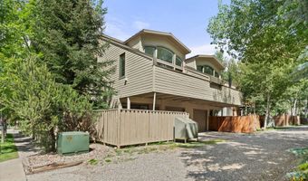 123 W Hyman Ave Unit A, Aspen, CO 81611