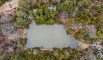 Smithtown Road, Afton, TN 37616