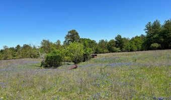 R13945 A0049 J Peterson Tract 11 Acres, Anderson, TX 77830