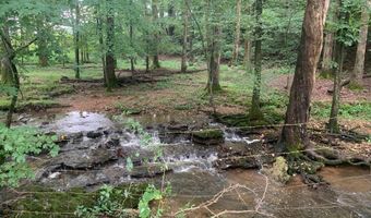 1790 Coon Hunt Rd, Baxter, TN 38544