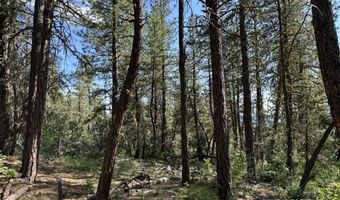 Sandpiper Ln, Beatty, OR 97621