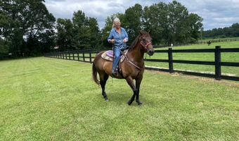 294 Nates Store Rd, Cameron, SC 29030