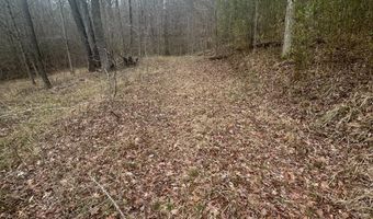 County Road 29, Alberta, AL 36720