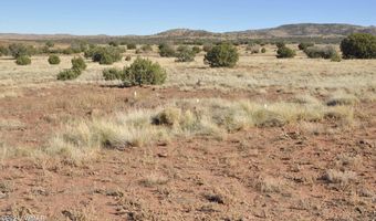 29 A N8478, Concho, AZ 85924