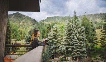 550 S Spring St F2-1, Aspen, CO 81611