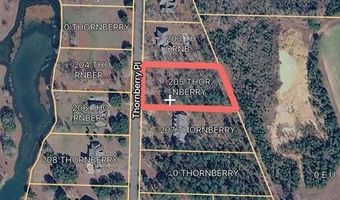 205 Thornberry Pl, Ashford, AL 36312